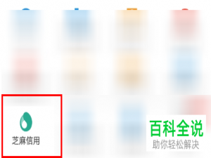 如何查看支付宝里的芝麻信用月报信息