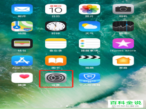 如何查看苹果iPhone手机的电池状况？
