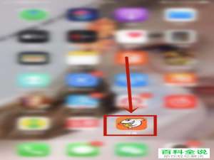 如何查看斗鱼的视频收益