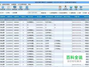 如何导出自己开的发票明细
