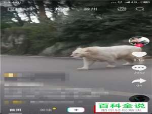 如何打开抖音app中的音跃球球游戏？