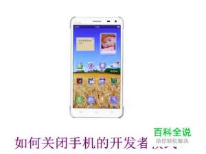如何关闭手机的开发者模式？