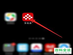 如何观看央视频中的视频回放