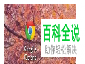 如何给谷歌浏览器设置支持迅雷下载