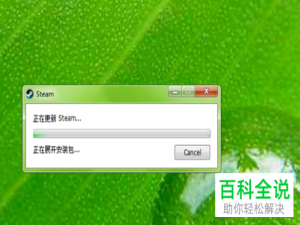 如何解决在电脑版Steam中无法打开社区的问题