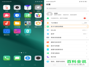 如何将OPPO R17 Pro手机的双卡切换网络/移动数据