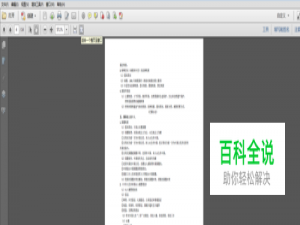如何将缩放的PDF文件保存为以100%比例显示