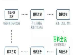 如何进行大数据分析