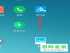 如何将手机支付宝内的资产证明打印出来