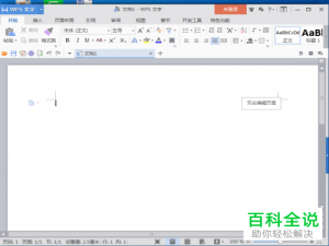 如何将带阴影的图片插入到WPS中？