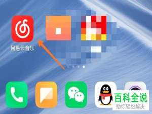 如何开启网易云音乐的边听边存功能？