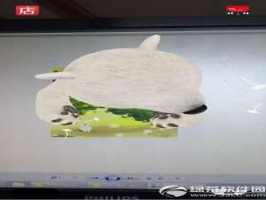 奇幻咔咔3d小熊图片制作教程图