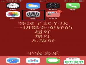 如何开启苹果手机iPhone的浮标