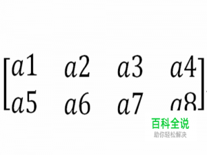 如何利用word输入2*4的矩阵