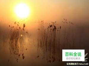 如何拍出“梦中仙境” 雾气拍摄技巧全攻略