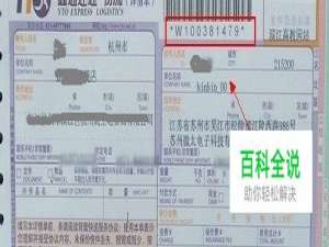 如何使用微信查快递物流信息