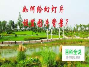 如何设置演示文稿背景？幻灯片怎样设图片背景？