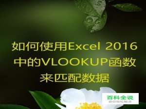 如何使用Excel 2016中的VLOOKUP函数来匹配数据