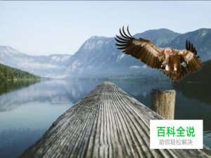 如何使用PS将鹰合成到另一张照片里