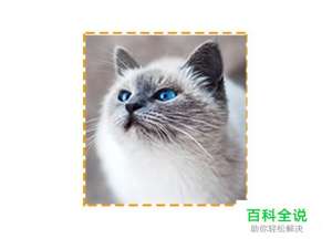 如何使用PS制作简单的邮票相框