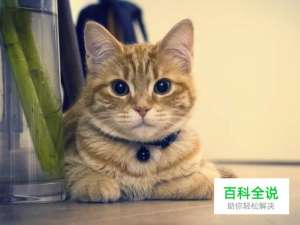 如何使用PS快速使用匹配颜色命令调色