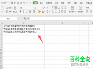 如何删除Excel表格单元格中的前缀
