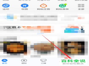 如何使用花呗额度快充来提升花呗额度
