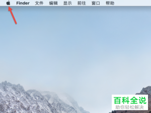 如何设置Mac电脑默认网页浏览器