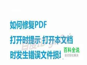 如何修复PDF打开时本文档时发生错误文件损坏