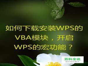 如何下载安装WPS的VBA模块，开启WPS的宏功能？