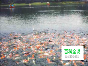 如何用PS修复不清晰的照片