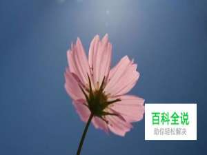 如何用PS去除照片的杂物污点【最简单】