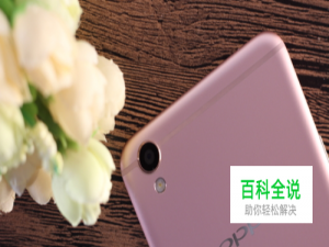 如何用OPPO R9 plus拍出美美的照片？
