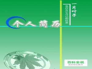 如何用WORD制作简历表格