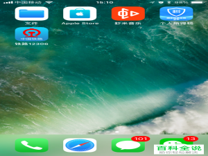 如何在铁路12306app的温馨服务功能中进行服务查询？