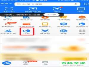 如何在手机版支付宝中解决无法使用花呗的问题