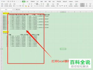 如何在Excel表格中设置显示所有公式