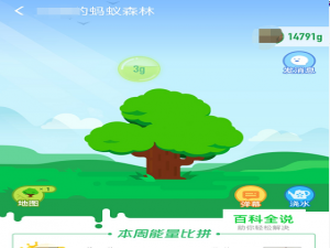 如何在支付宝蚂蚁森林种树