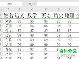 如何在2019版WPS表格中自定义打印页码范围？