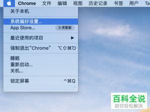 如何在Mac苹果电脑中显示程序坞图标