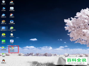 如何在Google Chrome中安装扩展程序