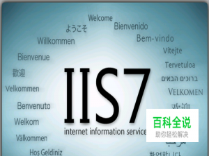 如何在Windows Server 2008中安装IIS