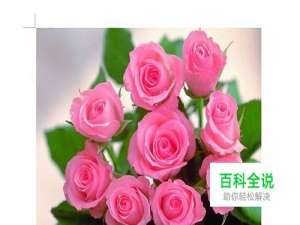 如何在word中修改图片大小？