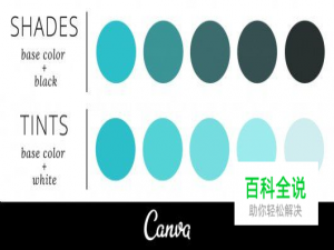 如何在设计中使用色彩和色度？