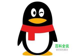 如何在电脑QQ中更换气泡？