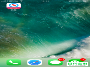 如何在手机版优酷app中查看隐私权政策？