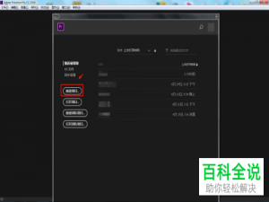 如何在电脑版PR中为视频添加噪点杂色