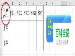 如何在Excel斜线单元格输入文字