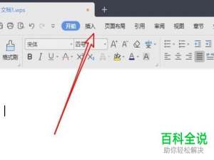 如何在wps2019的文档里添加二元一次方程组？