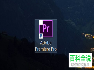 如何在PR软件中新建素材箱并给素材分类